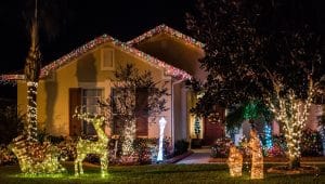 pecan grove christmas lights